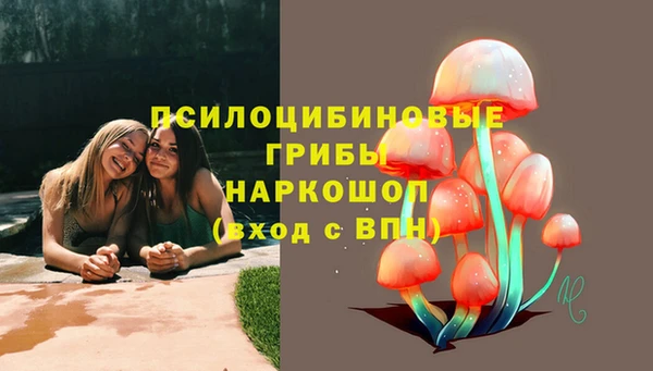крисы Бородино