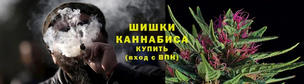 крисы Бородино