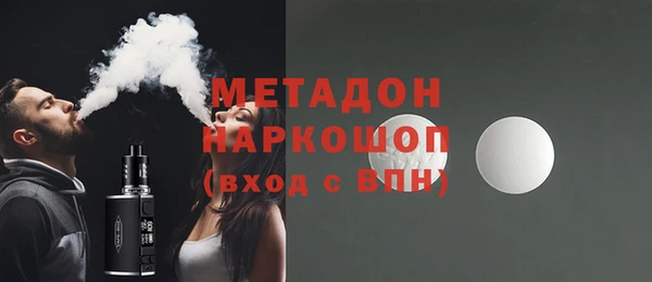 крисы Бородино