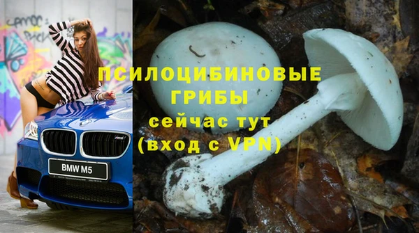 прущий лед Бугульма