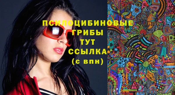 крисы Бородино