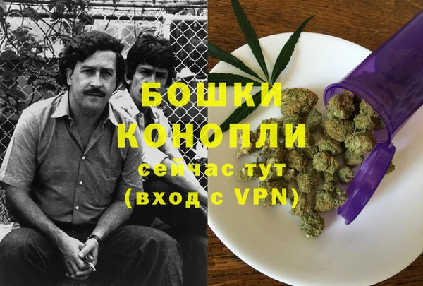 крисы Бородино