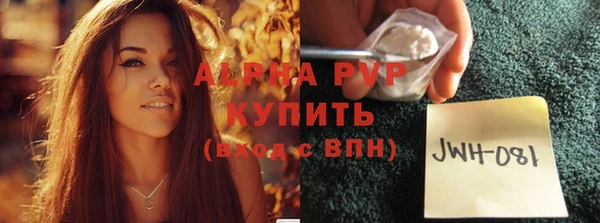 крисы Бородино