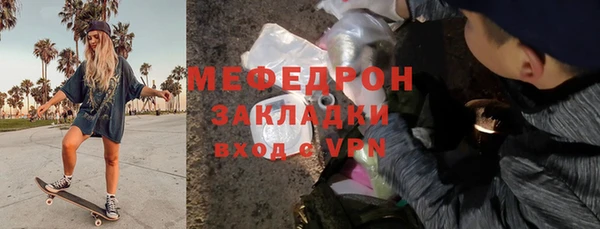 крисы Бородино