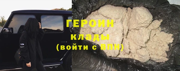 крисы Бородино