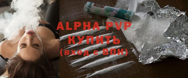 крисы Бородино